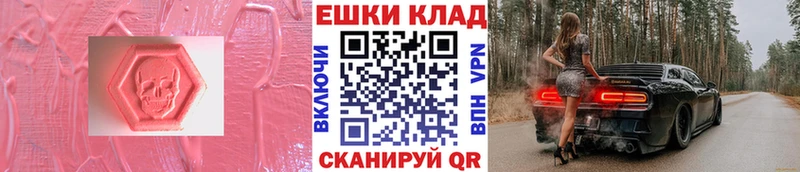 Экстази Philipp Plein  Кемь 