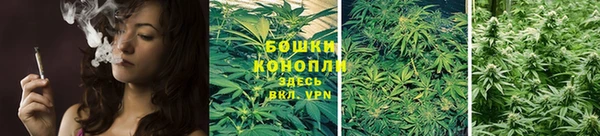 каннабис Галич